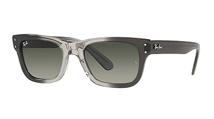 Ray-Ban Mr Burbank RB 2283 134071