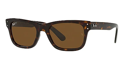Ray-Ban Mr Burbank RB 2283 902/57