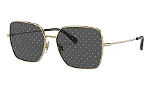 Женские солнцезащитные очки Dolce&Gabbana 2242 02/L мини фото 1