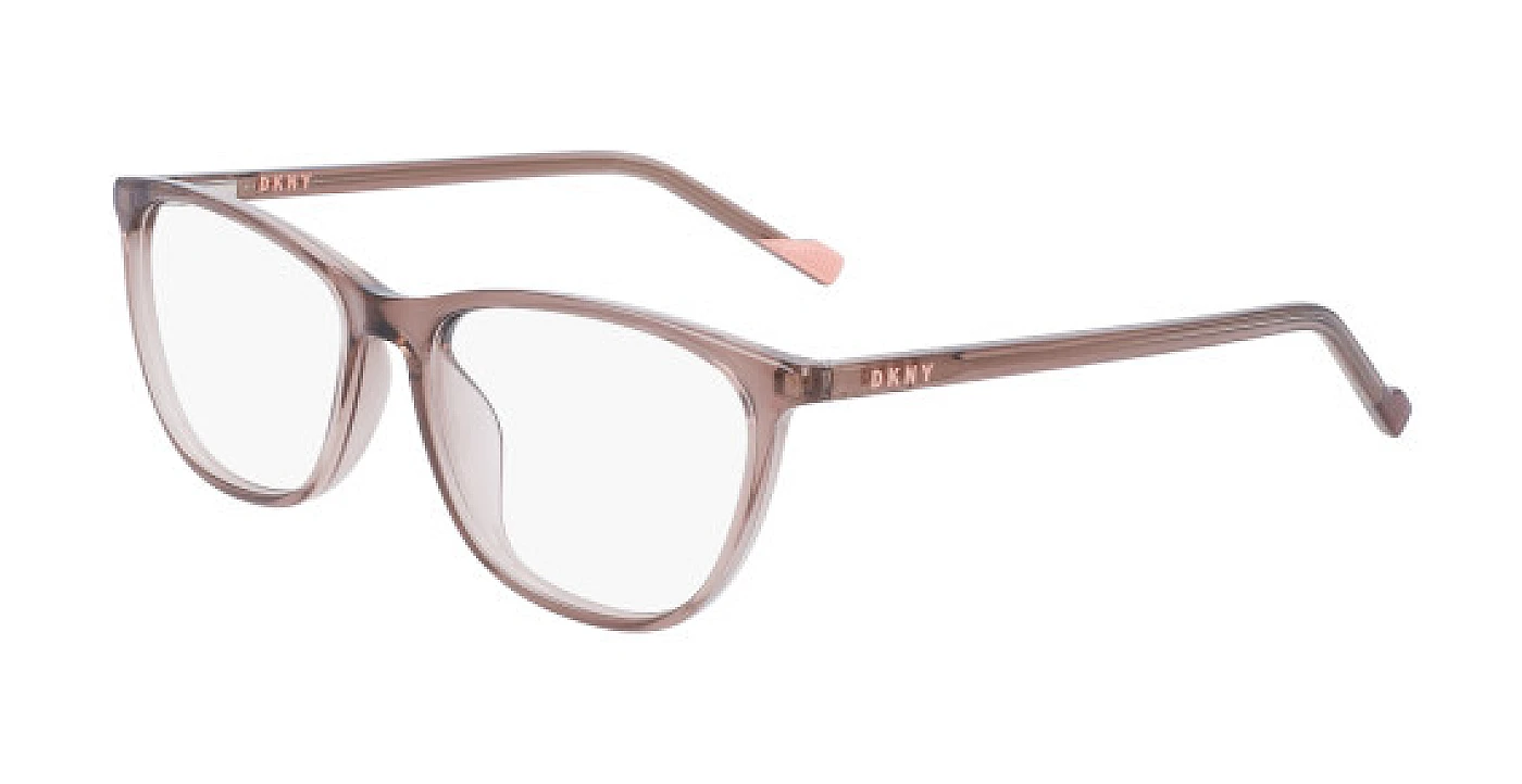Оправа для очков DKNY 5044 CRYSTAL TAUPE фото 1