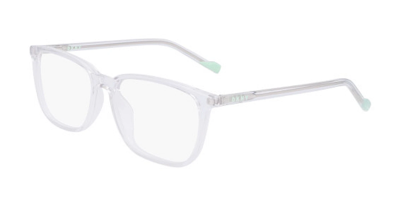 Оправа для очков для зрения DKNY 5045 CRYSTAL CLEAR фото 1