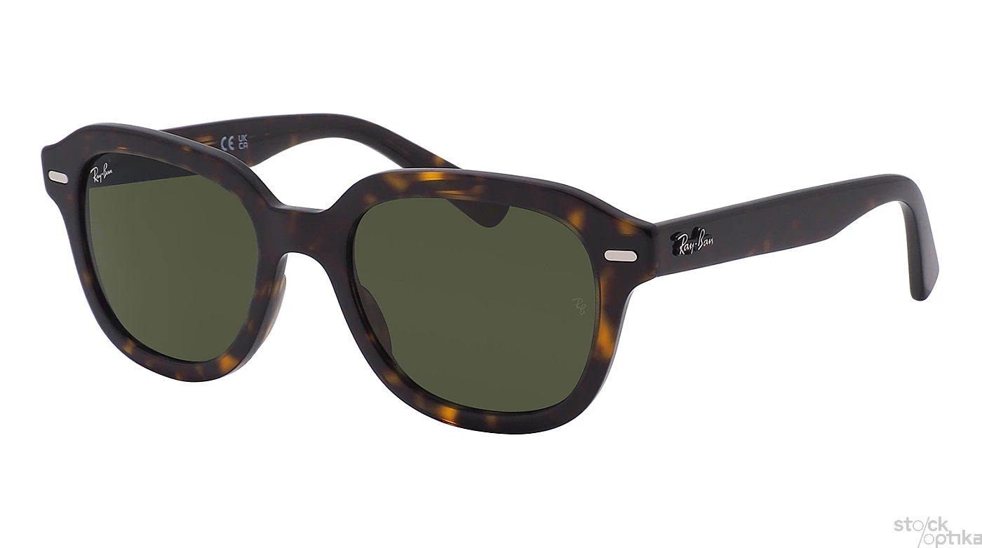 Ray Ban Erika RB 4398 902 31 20100