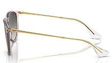 Мужские солнцезащитные очки Ray-Ban Erika RB 4171 674211 мини фото 3