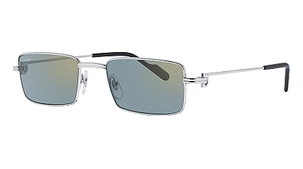 Cartier 0501S 008