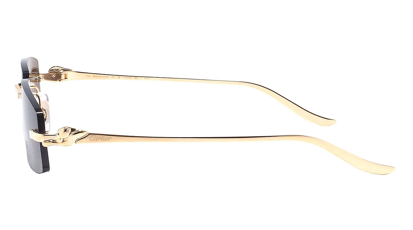 Унисекс очки Cartier 0505S 001 фото 4