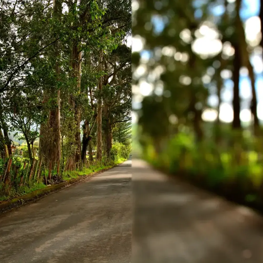 blog image