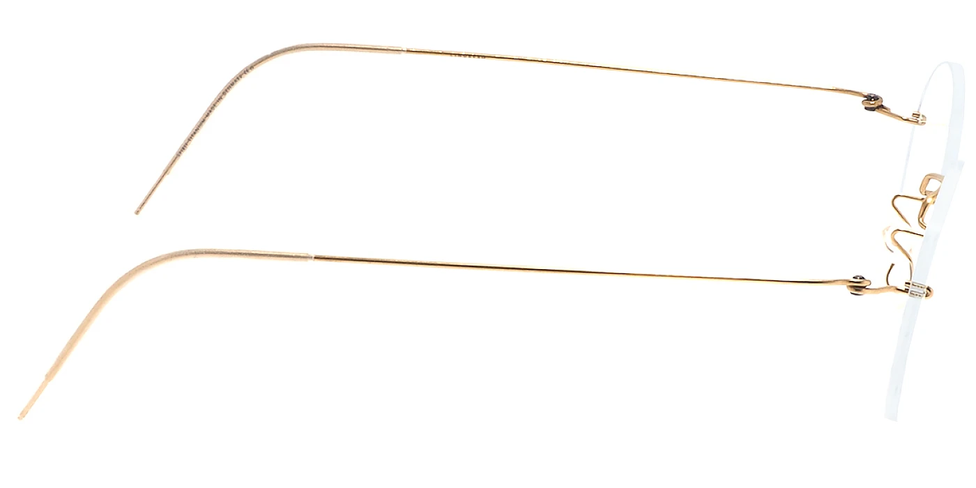 Оправа Lindberg SPIRIT 2554 Basic PGT Large 145mm фото 3