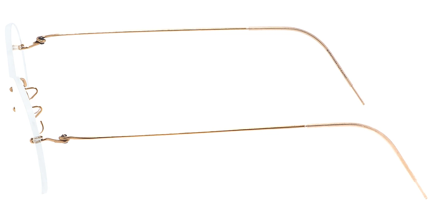 Оправа Lindberg SPIRIT 2554 Basic PGT Large 145mm фото 4
