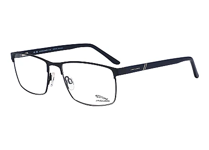 33113 3100 58/18 Menrad Jaguar