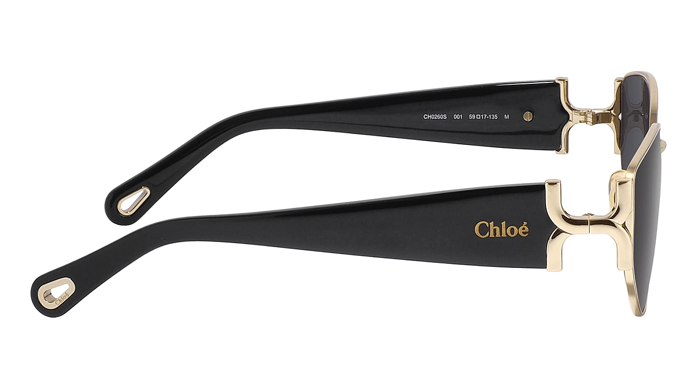 Солнцезащитные очки Chloe 0260S 001 фото 3