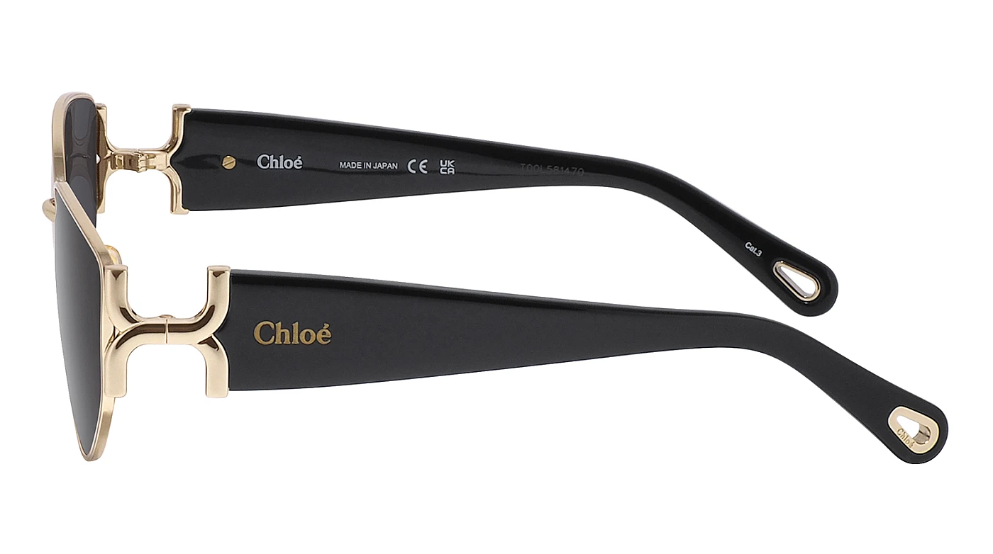 Солнцезащитные очки Chloe 0260S 001 фото 4