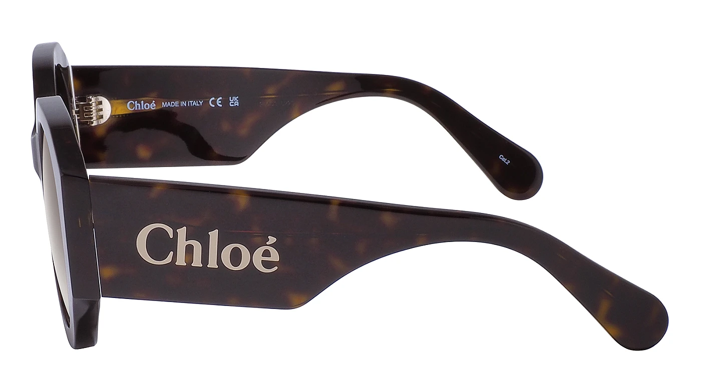 Женские солнцезащитные очки Chloe 0234S 002 фото 4