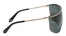 Женские очки Roberto Cavalli 012M 300 мини фото 3
